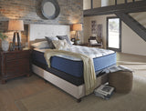 Mt Dana Plush Mattress