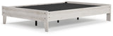Shawburn Platform Bed