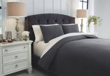 Ryter Coverlet Set