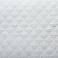 Ryter Coverlet Set