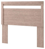 Flannia Panel Headboard